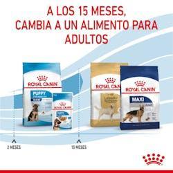 Royal Canin - Perros Cachorros Grandes - Pouch