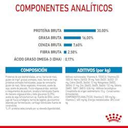 Royal Canin - Perros Cachorros Grandes - Pouch