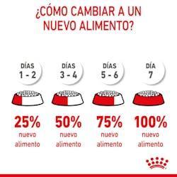 Royal Canin - Perros Cachorros Grandes - Pouch