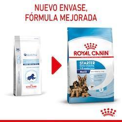 Royal Canin - Perros Cachorros Grandes - Starter M&B