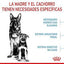 Royal Canin - Perros Cachorros Grandes - Starter M&B