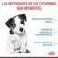 Royal Canin - Perros Cachorros Pequeños - Pouch