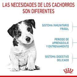 Royal Canin - Perros Cachorros Pequeños - Pouch