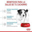 Royal Canin - Perros Cachorros Pequeños - Pouch