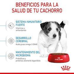 Royal Canin - Perros Cachorros Pequeños - Pouch