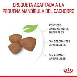 Royal Canin - Perros Cachorros Pequeños - Pouch
