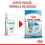 Royal Canin - Perros Pequeños Starter M&B