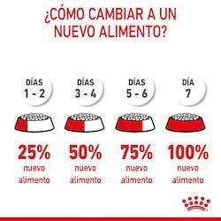 Royal Canin - Perros Pequeños Starter M&B