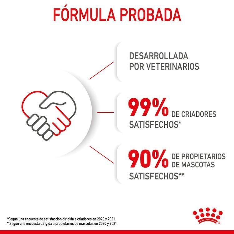 Royal Canin - Gatitos Mother & Baby - Lata