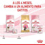 Royal Canin - Gatitos Mother & Baby - Lata