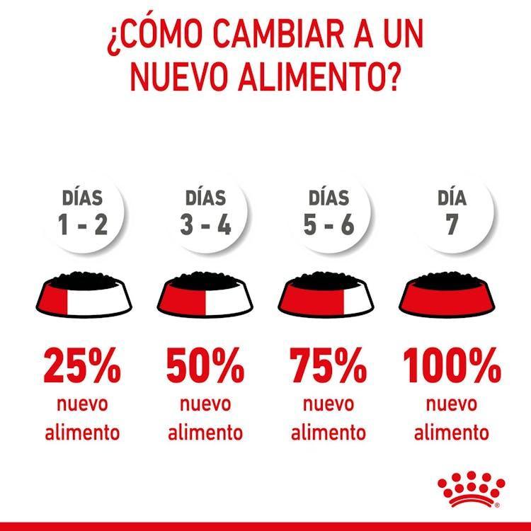 Royal Canin - Gatitos Mother & Baby - Lata