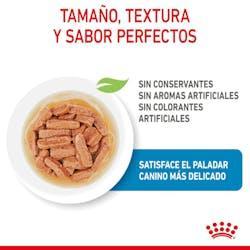 Royal Canin - Perros Cachorros Medianos - Pouch