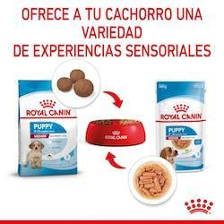 Royal Canin - Perros Cachorros Medianos - Pouch
