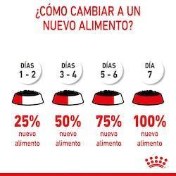 Royal Canin - Perros Cachorros Medianos - Pouch
