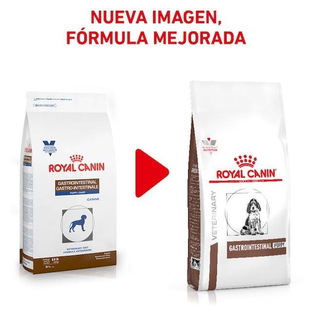 Royal Canin - Perros Cachorros - Gastrointestinal