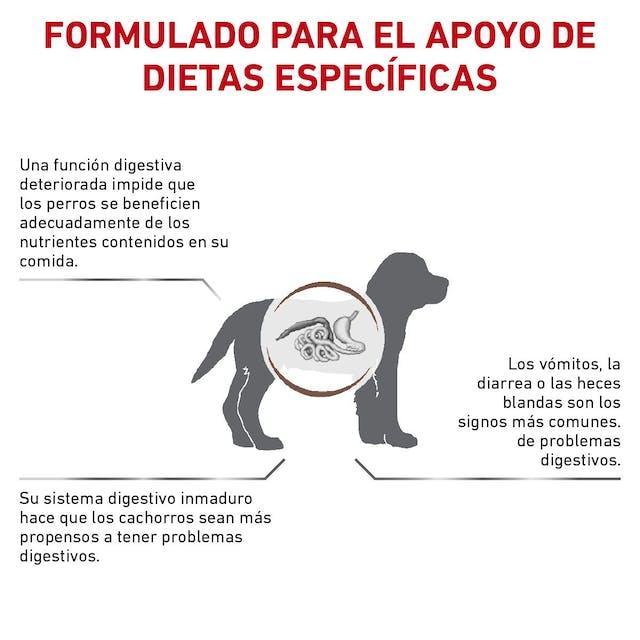 Royal Canin - Perros Cachorros - Gastrointestinal