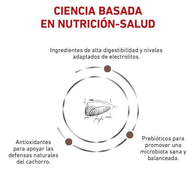 Royal Canin - Perros Cachorros - Gastrointestinal