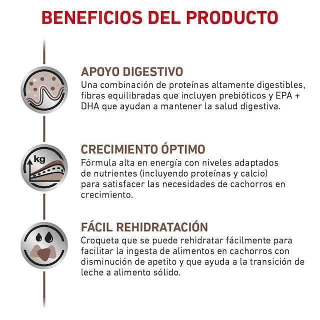 Royal Canin - Perros Cachorros - Gastrointestinal