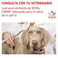Royal Canin - Perros Cachorros - Gastrointestinal