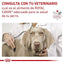 Royal Canin - Perros Adultos - Cuidado Renal - Lata