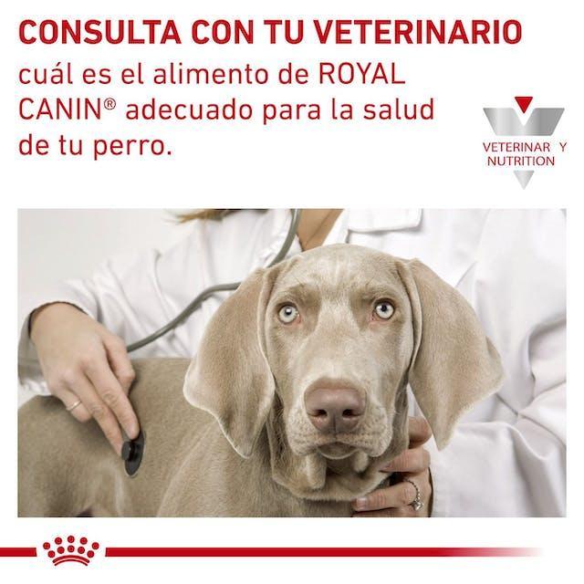 Royal Canin - Perros Adultos - Cuidado Renal - Lata