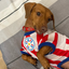 Wanchan - Remera De Seleccion Paraguay - Albirroja
