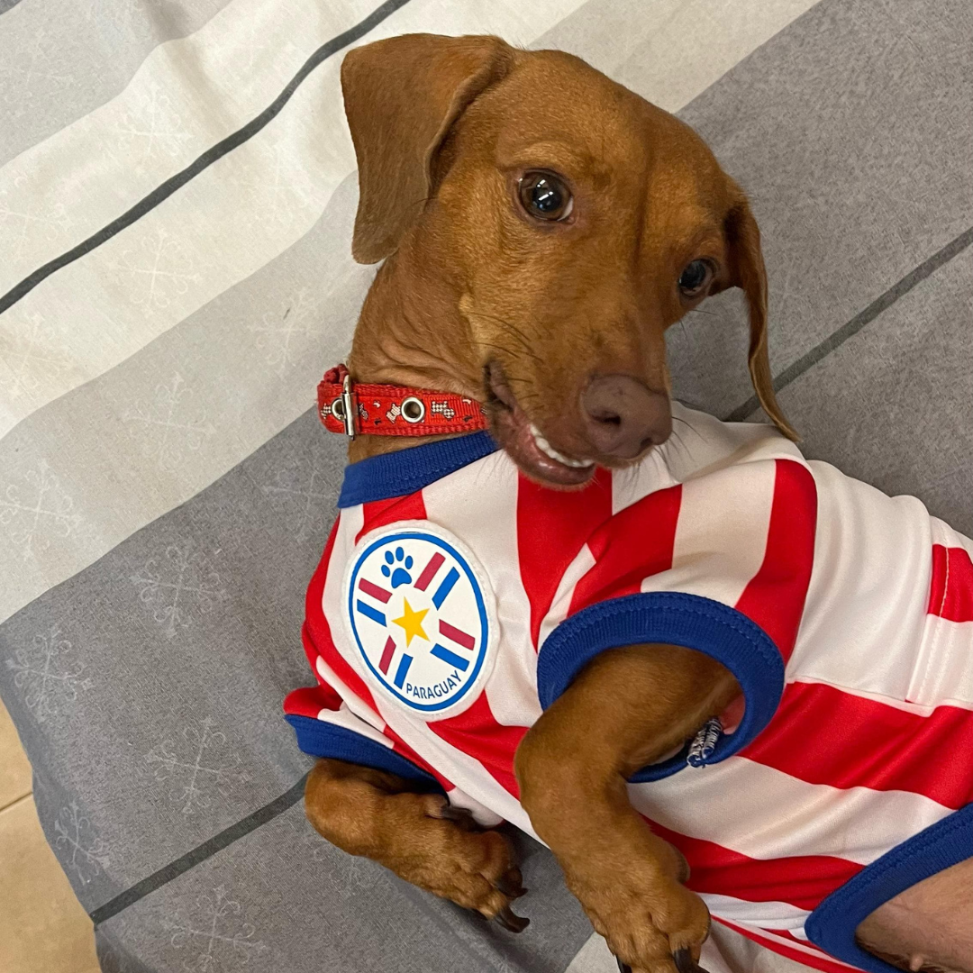 Wanchan - Remera De Seleccion Paraguay - Albirroja