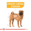 Royal Canin - Perros Adultos Medianos - Dermacomfort