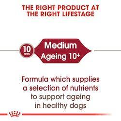 Royal Canin - Perros Senior 10+ Medianos - Pouch