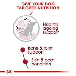 Royal Canin - Perros Senior 10+ Medianos - Pouch