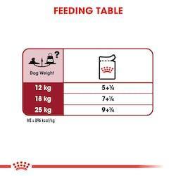 Royal Canin - Perros Senior 10+ Medianos - Pouch