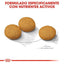 Royal Canin - Perros Adultos Medianos - Dermacomfort
