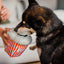 PLAY - Juguetes Palomitas Para Perros