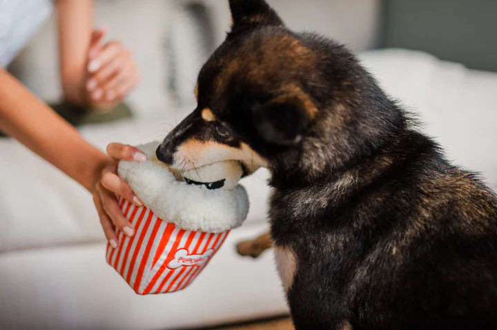 PLAY - Juguetes Palomitas Para Perros