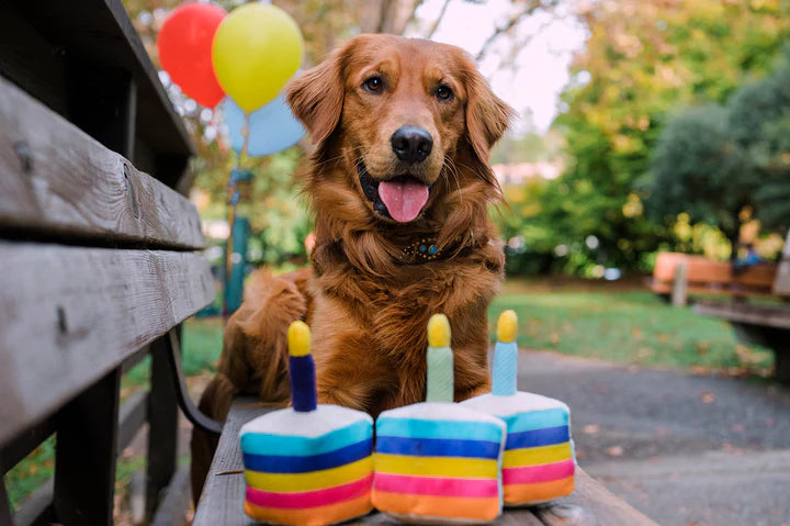 PLAY - Juguete Torta Para Perros