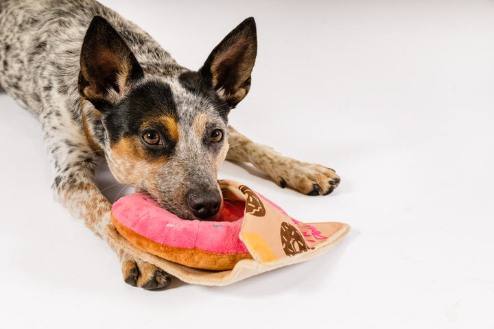 PLAY - Juguete Donut