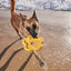 Zeedog - Farm - Farm Flower - Yellow Toy