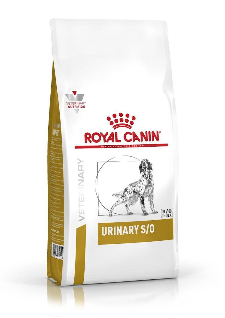 Royal Canin - Perros Adultos - Cuidado Urinario S/O