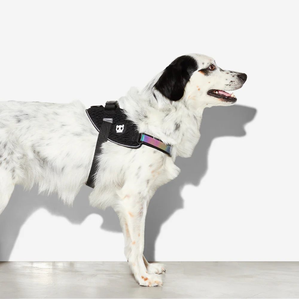 Zeedog - Perros Pechera Fly Harness - Gotham
