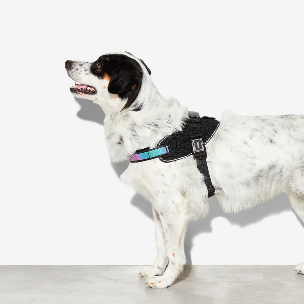 Zeedog - Perros Pechera Fly Harness - Gotham