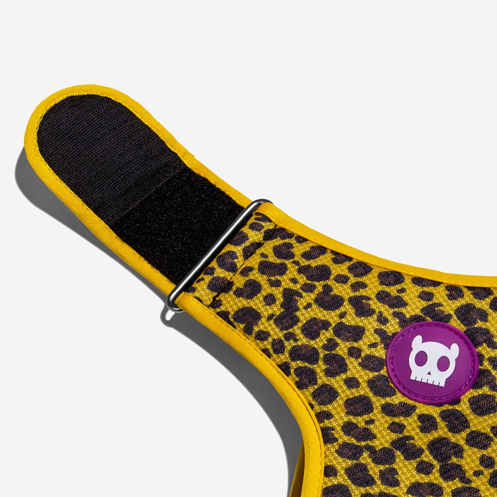 Zeedog - Perros Pechera Airmesh - Honey