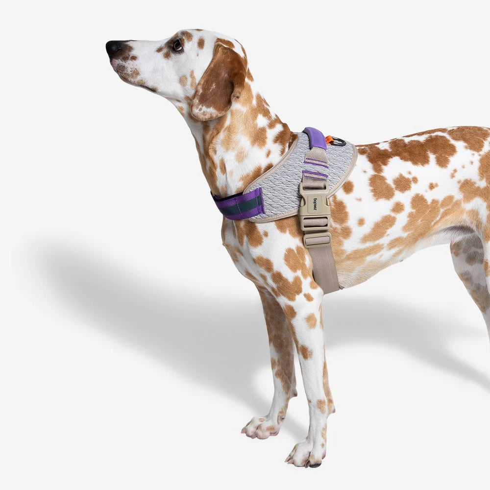 Zeedog - Perros Pechera Fly Harness - Vortex