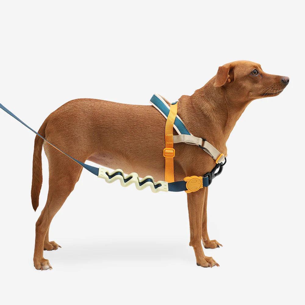 Zeedog - Perros Pechera No-Pull Softerwalk - Voyage