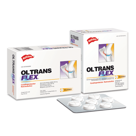 Holliday - Perros Ol-Trans Flex - Comprimidos